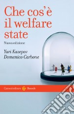 Che cos'è il welfare state libro