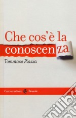 Che cos'è la conoscenza