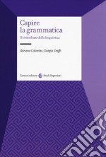 Capire la grammatica. Il contributo della linguistica libro