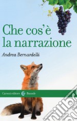 Che cos'è la narrazione libro