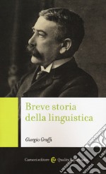 Breve storia della linguistica libro usato