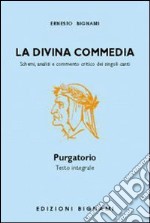 La Divina Commedia. Il Purgatorio libro