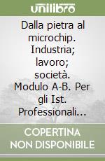 Dalla pietra al microchip. Industria; lavoro; società. Modulo A-B. Per gli Ist. Professionali per l'industria e l'artigianato. Vol. 1 libro