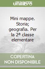 Mini mappe. Storia; geografia. Per la 2ª classe elementare libro