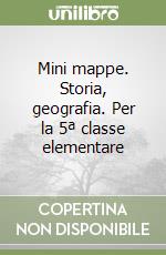 Mini mappe. Storia, geografia. Per la 5ª classe elementare libro