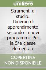 Strumenti di studio. Itinerari di apprendimento secondo i nuovi programmi. Per la 5/a classe elementare libro
