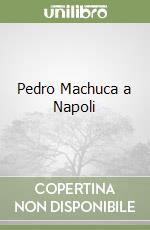 Pedro Machuca a Napoli libro