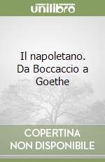 Il napoletano. Da Boccaccio a Goethe libro