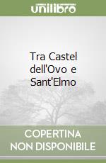 Tra Castel dell'Ovo e Sant'Elmo libro