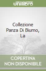 Collezione Panza Di Biumo, La libro