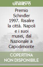 Premio Schindler 1997. Risalire la città. Napoli e i suoi musei, dal Nazionale a Capodimonte libro