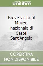 Breve visita al Museo nazionale di Castel Sant'Angelo libro