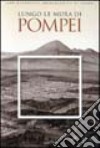 Lungo le mura di Pompei. L'antica città nel suo ambiente naturale. Ediz. illustrata libro