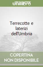 Terrecotte e laterizi dell'Umbria libro