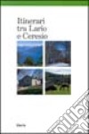 Itinerari tra Lario e Ceresio. Ediz. illustrata libro di Mozzanica Ivo