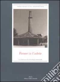 Fornaci in Umbria. Un itinerario di archeologia industriale libro