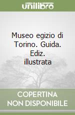 Museo egizio di Torino. Guida. Ediz. illustrata libro