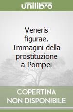 Veneris figurae. Immagini della prostituzione a Pompei libro