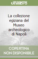 La collezione egiziana del Museo archeologico di Napoli libro