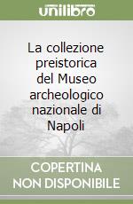 La collezione preistorica del Museo archeologico nazionale di Napoli libro