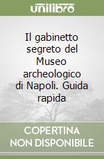 Il gabinetto segreto del Museo archeologico di Napoli. Guida rapida libro