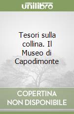 Tesori sulla collina. Il Museo di Capodimonte libro