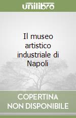 Il museo artistico industriale di Napoli libro