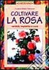 Coltivare La Rosa - Varieta', Impia libro