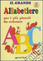 Il grande alfabetiere per i più piccoli libro