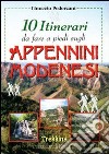 Dieci itinerari da fare a piedi sugli Appennini modenesi libro