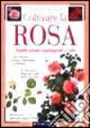 Coltivare la rosa. Classificazione, piantagione e cura libro