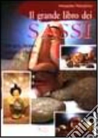 Il grande libro dei sassi. Dipingere, incidere, stampare, incollare, costruire libro