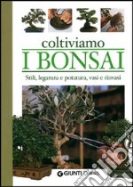 Coltiviamo i bonsai