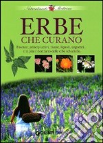 Erbe che curano. Essenze, principi attivi, tisane, liquori e unguenti... e in più il ricettario delle erbe selvatiche libro