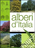 Alberi d'Italia. Ediz. illustrata libro