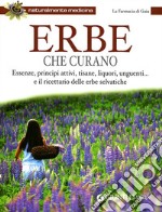 Erbe che curano. Essenze, principi attivi, tisane, liquori, unguenti... e il ricettario delle erbe selvatiche libro