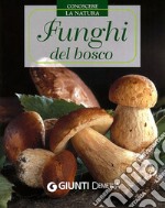 Funghi del bosco