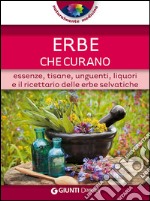 Erbe che curano. Essenze, tisane, unguenti, liquori e il ricettario delle erbe selvatiche libro