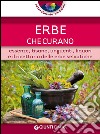 Erbe che curano. Essenze, tisane, unguenti, liquori e il ricettario delle erbe selvatiche libro