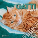 Gatti come noi. Calendario 2015 libro