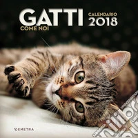 Calendario Gatti 2018 libro