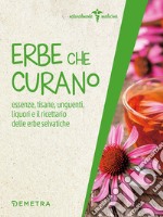 Erbe che curano. Essenze, tisane, unguenti, liquori e il ricettario delle erbe selvatiche libro