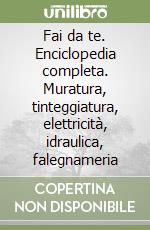 Fai da te. Enciclopedia completa. Muratura, tinteggiatura, elettricità, idraulica, falegnameria libro