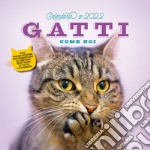 Gatti come noi. Calendario 2022 libro