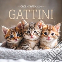 Gattini. Calendario 2026 da parete libro