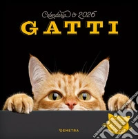 Gatti. Calendario 2026 da parete