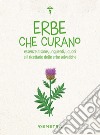 Erbe che curano. Essenze, tisane, unguenti, liquori e il ricettario delle erbe selvatiche libro