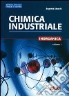 Chimica industriale. Per gli Ist. tecnici e professionali. Con espansione online. Vol. 1: Chimica inorganica libro di Stocchi Eugenio