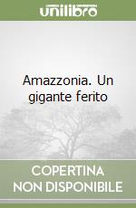Amazzonia. Un gigante ferito libro