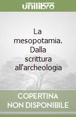 La mesopotamia. Dalla scrittura all'archeologia libro